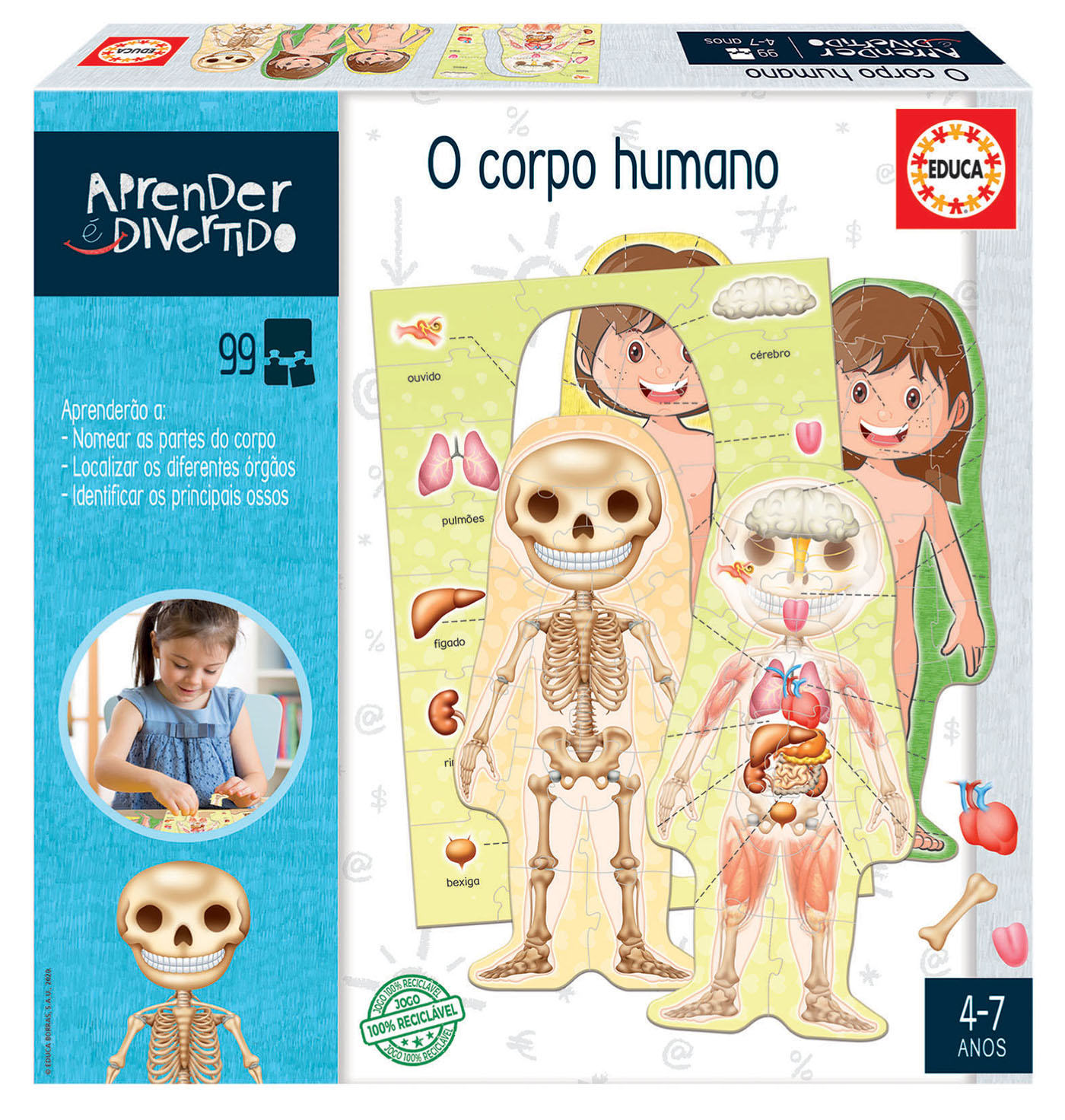 O corpo humano