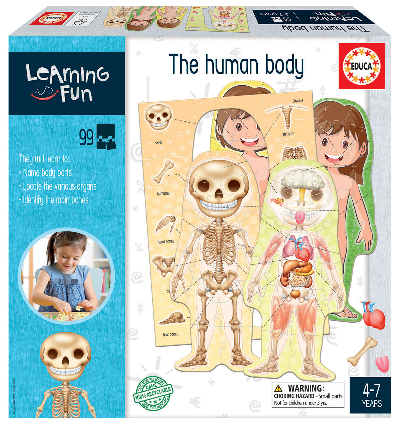 The Human Body